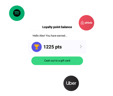 loyalty point balance-1