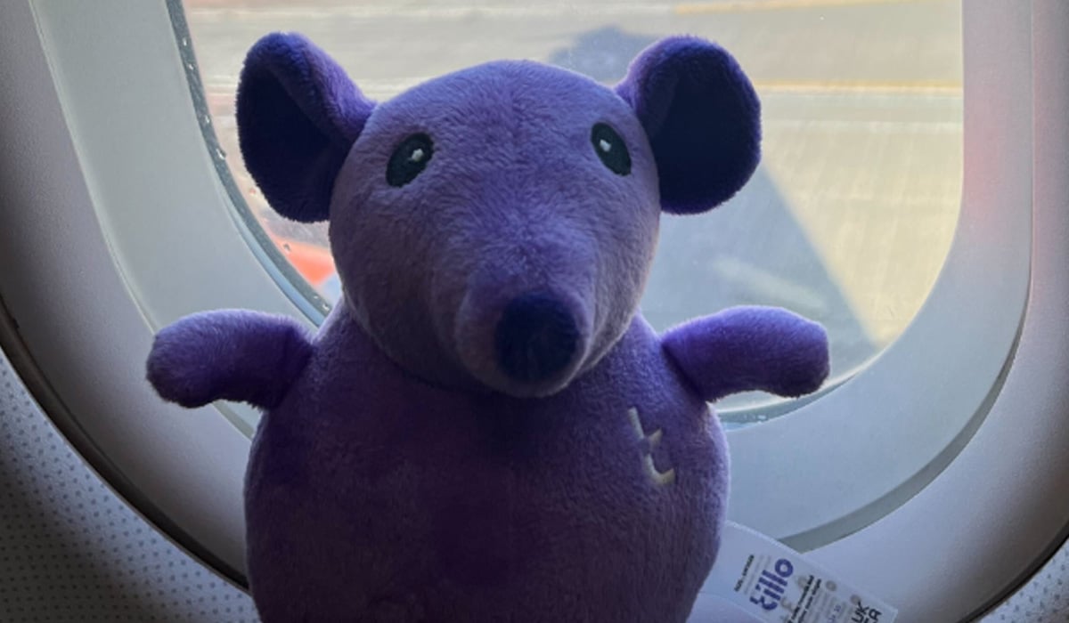 Arnie_Armatillo_Adventure_1