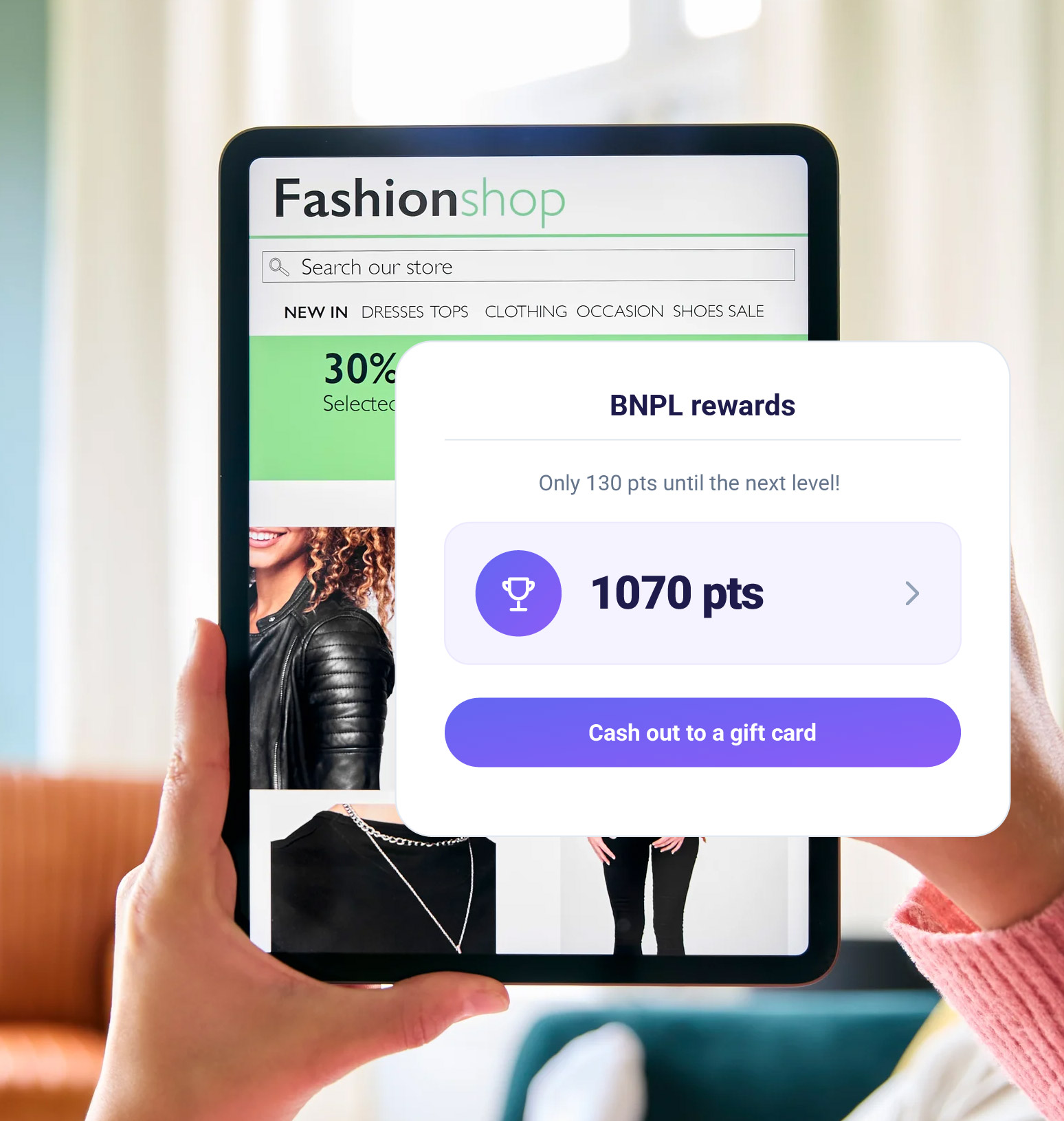 BNPL Asset