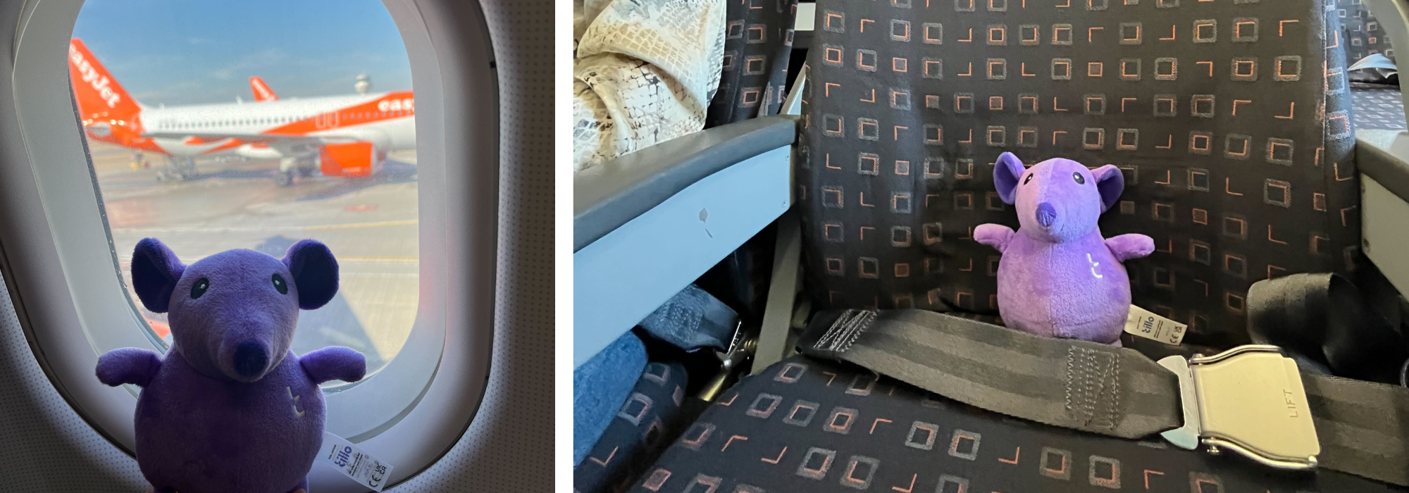 arnie-the-armatillo-introduction-my-first-flight