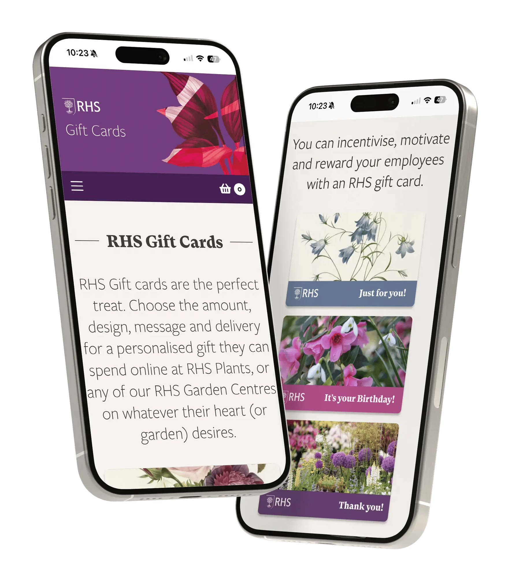 RHS mockup-1 RHS mockup-1