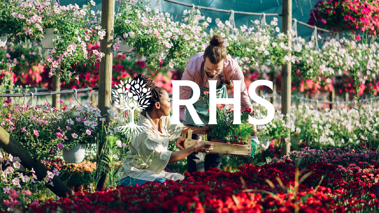 RHS