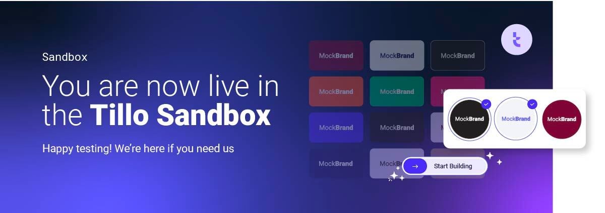 Sandbox Email Banner