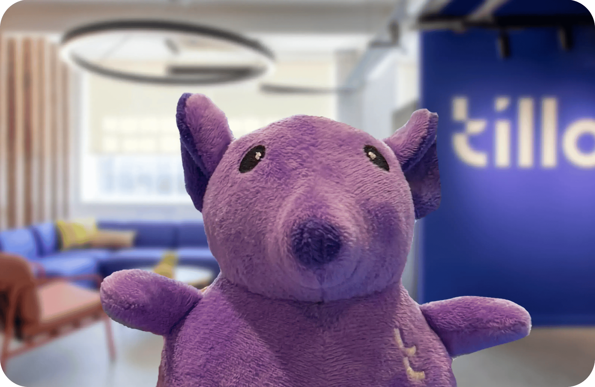 Meet Arnie the Armatillo, Tillo's loveable mascot! 