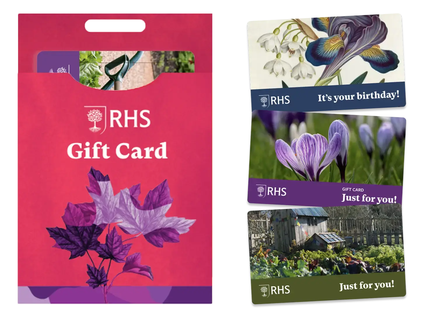 Gift-Card-Display-mobilex2 copy Gift-Card-Display-mobilex2 copy