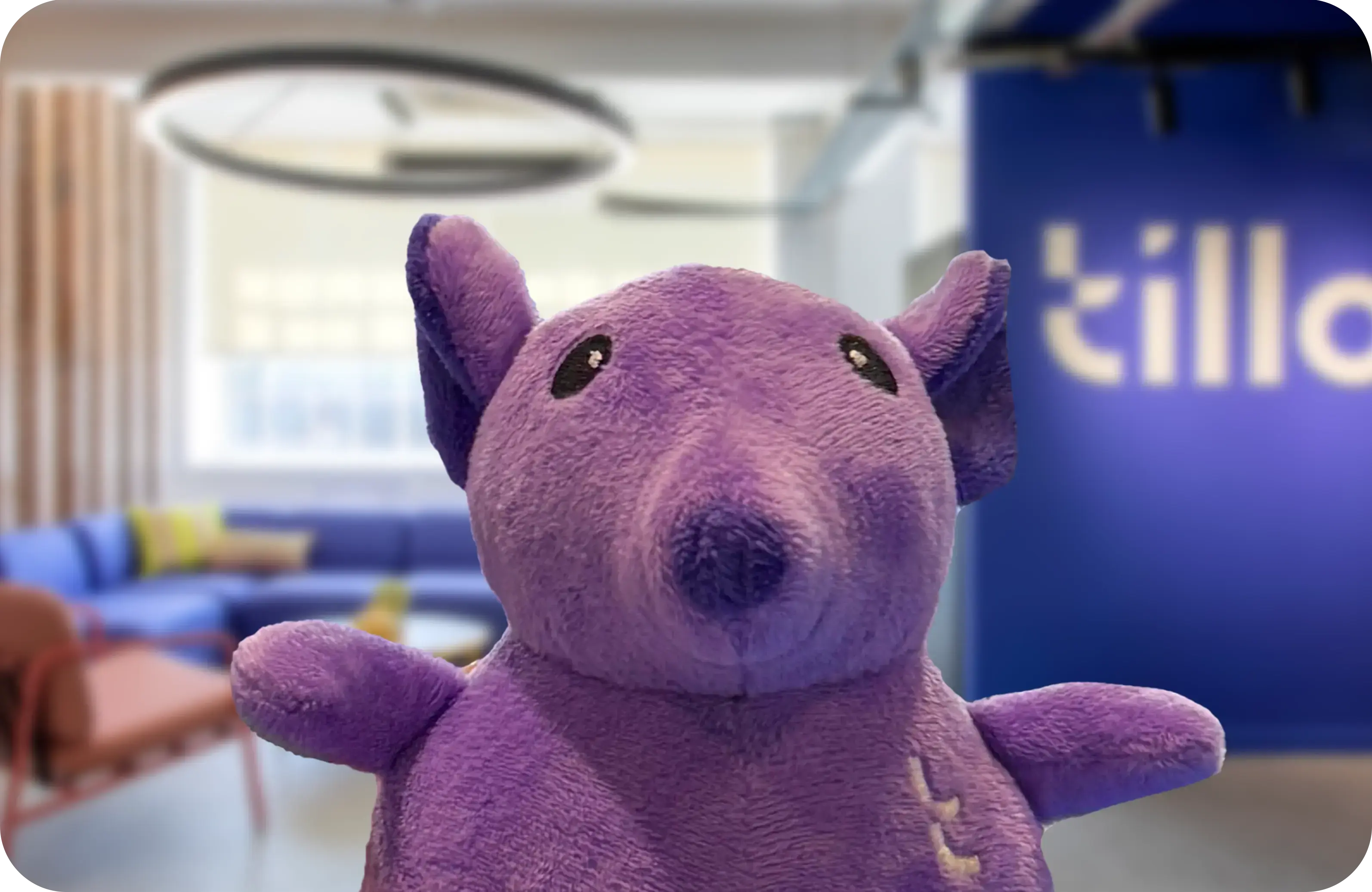 Meet Arnie the Armatillo, Tillo's loveable mascot! 
